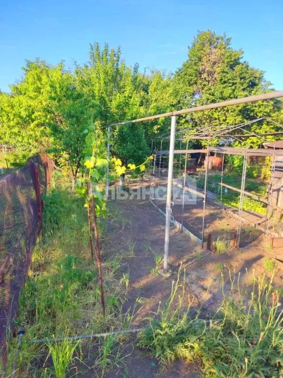 Дом в Ростовская область, Волгодонск Пионерская ул. (63 м) - Фото 1