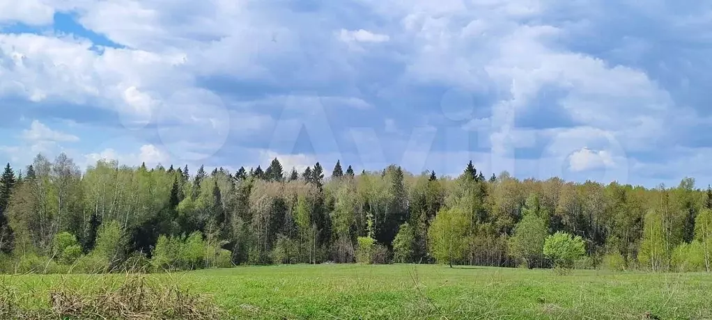 Участок 7,6 сот. (ИЖС) - Фото 1