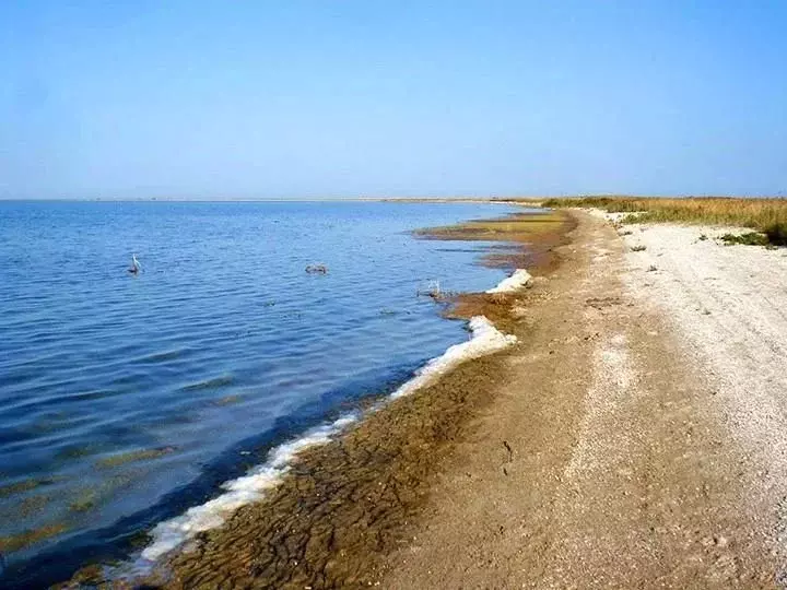 Участок в Крым, Советское с/пос  (5.0 сот.) - Фото 2