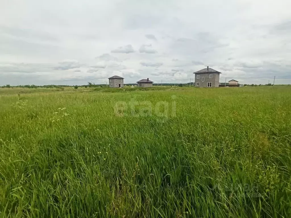 Участок в Калининградская область, Гурьевский муниципальный округ, ... - Фото 0