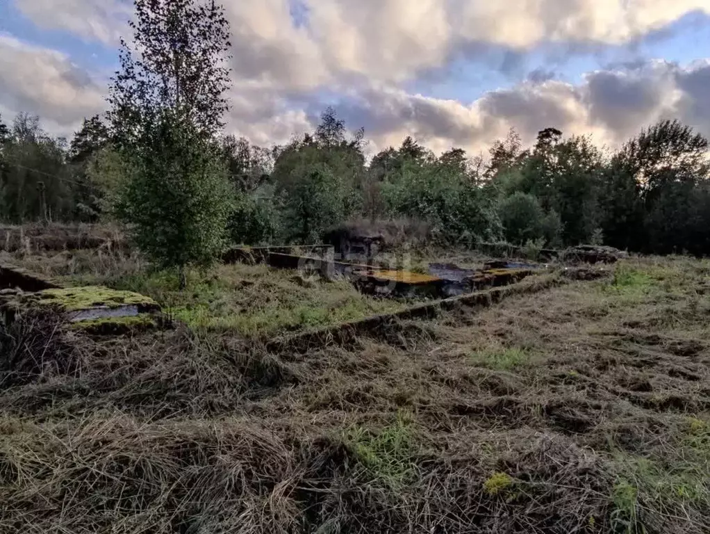 Участок в Ленинградская область, Приозерский район, пос. Мичуринское  ... - Фото 0