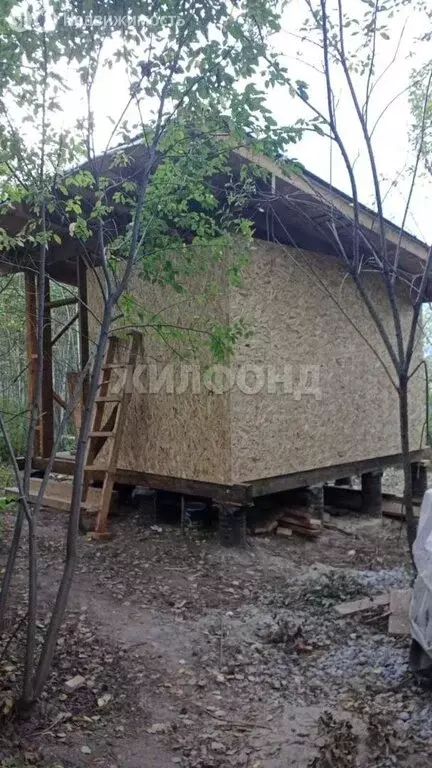 Участок в Барышевский сельсовет (10 м) - Фото 1