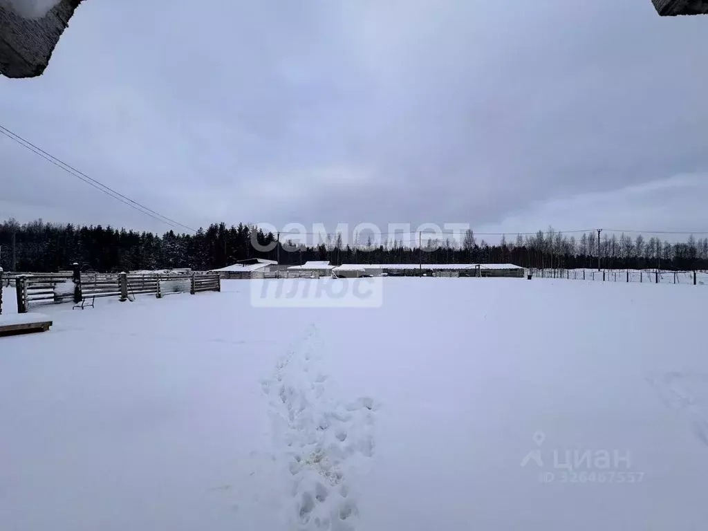 Участок в Ленинградская область, Выборгский район, Рощинское городское ... - Фото 2