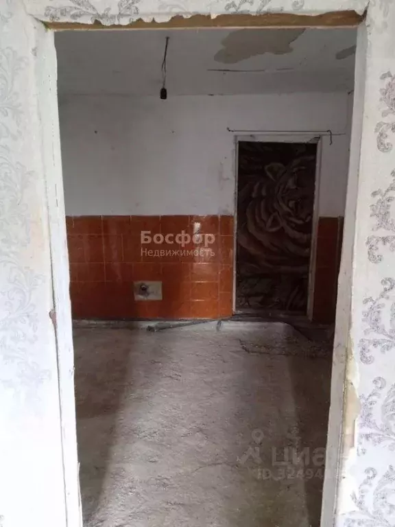 Дом в Крым, Кировский район, Синицынское с/пос, с. Васильковое ул. ... - Фото 1