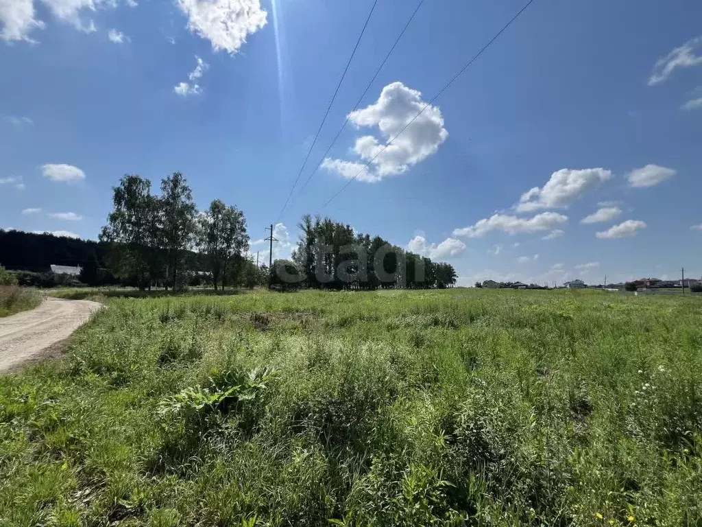 Участок в Тульская область, Тула городской округ, д. Медвенка ул. ... - Фото 2