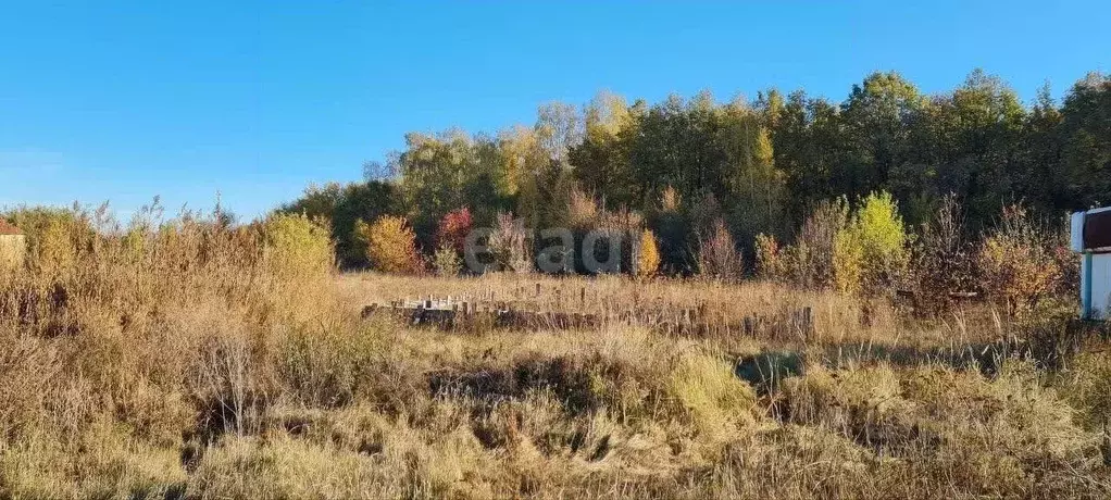 Участок в Белгородская область, Старооскольский городской округ, с. ... - Фото 1