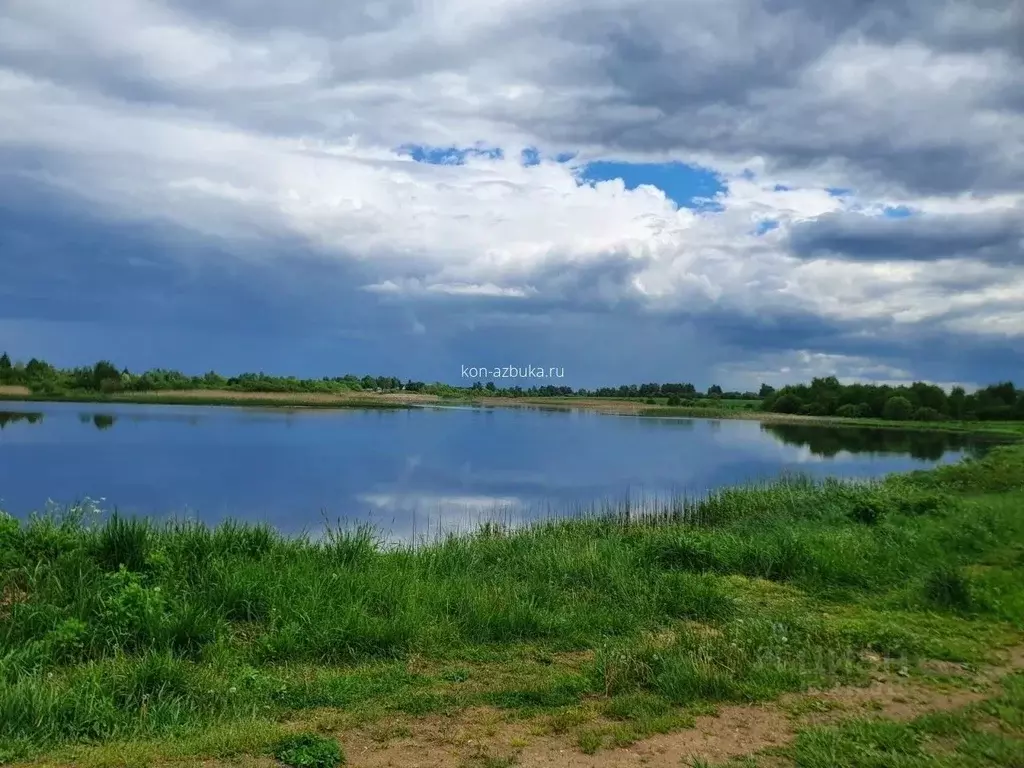 Участок в Тверская область, Конаковский муниципальный округ, с. ... - Фото 0