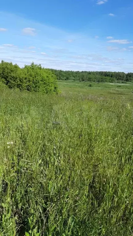 Купить Земельный Участок В Фурмановском Районе