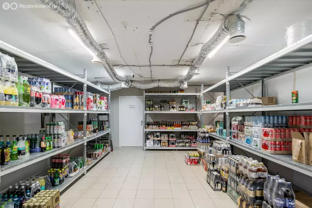 Помещение свободного назначения (228.5 м) - Фото 2