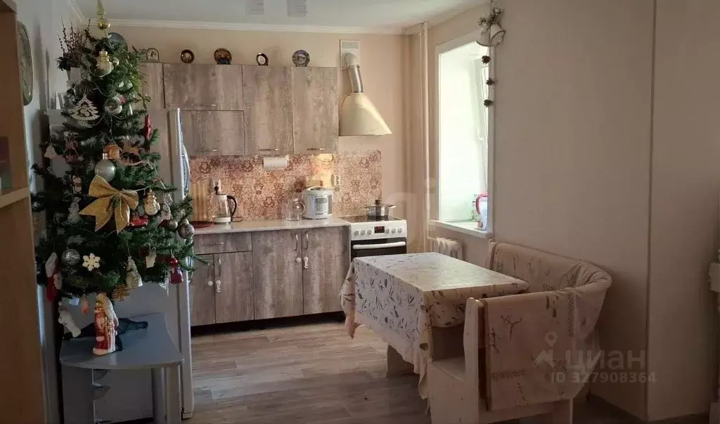 1-к кв. Амурская область, Благовещенский район, с. Чигири 1-я ... - Фото 2