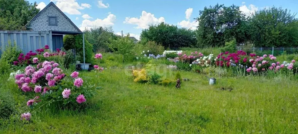 Дом в Брянская область, Брянский район, Снежское с/пос, с. Толмачево, ... - Фото 1