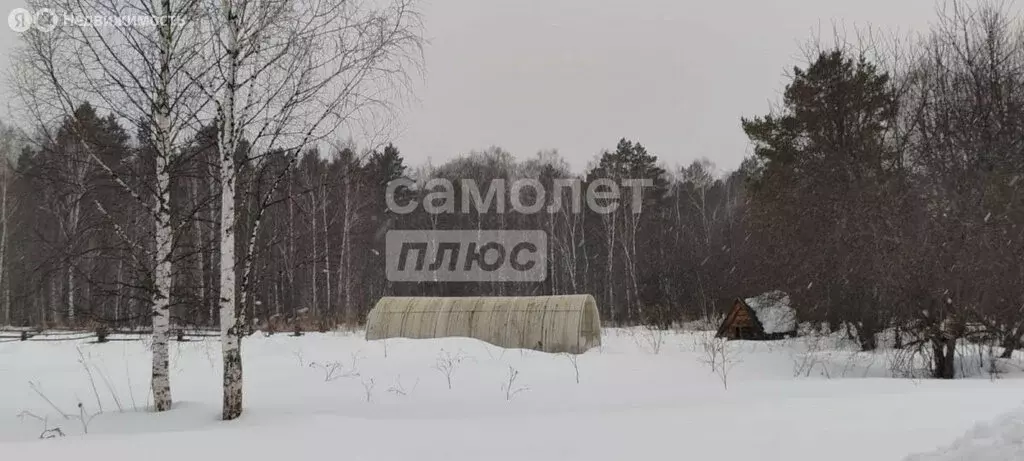 Участок в Турочакский район, село Каначак (250 м) - Фото 2