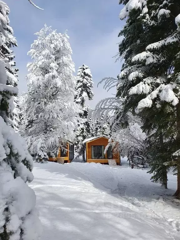 Дом в Карачаево-Черкесия, Зеленчукский район, с. Архыз  (35 м) - Фото 0