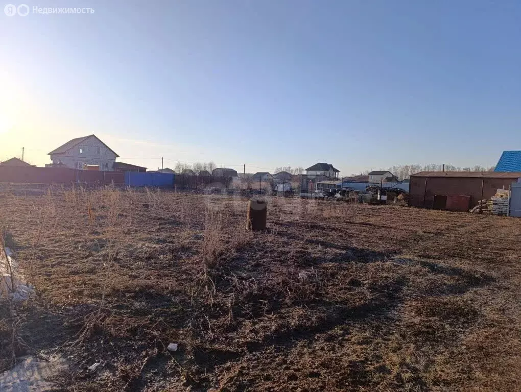Участок в муниципальный округ Омский район, деревня Зелёное Поле (10 ... - Фото 2