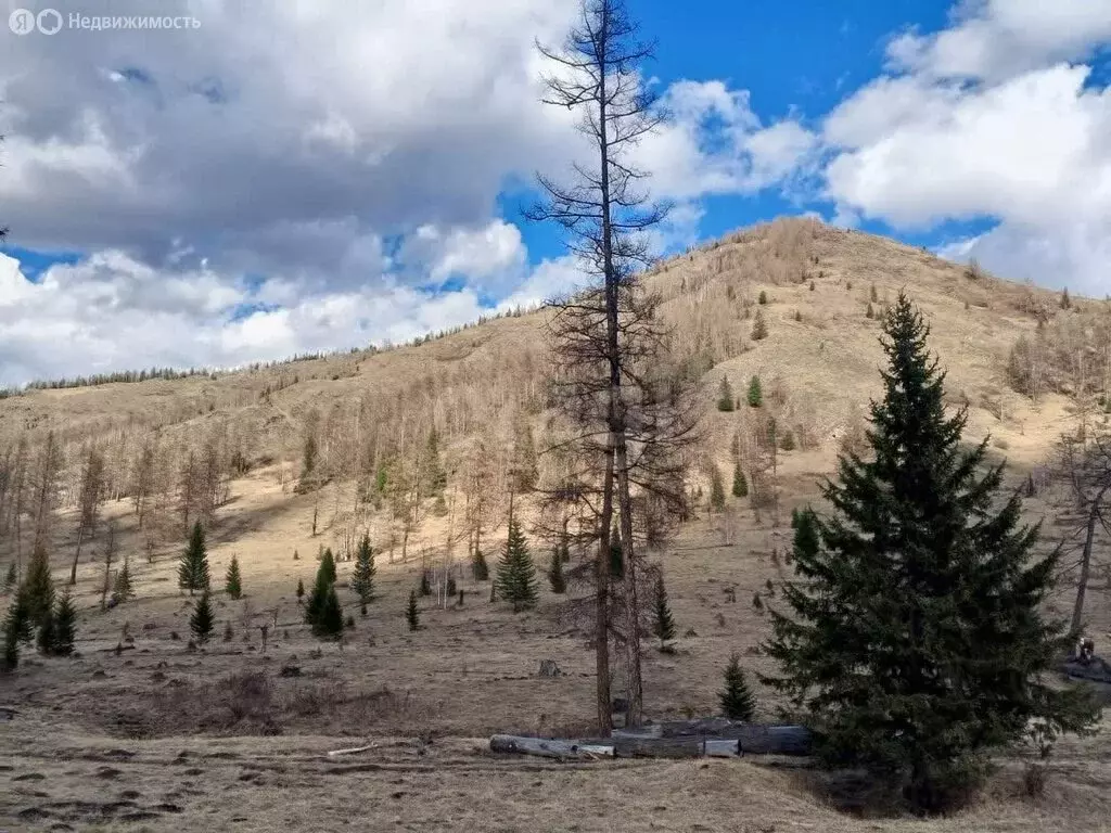 Участок в Усть-Коксинский район, село Карагай (145000 м) - Фото 0
