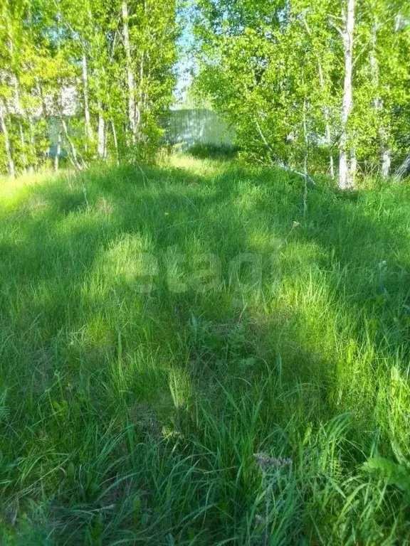 Участок в Челябинская область, Пласт ул. Автомобилистов (9.96 сот.) - Фото 1