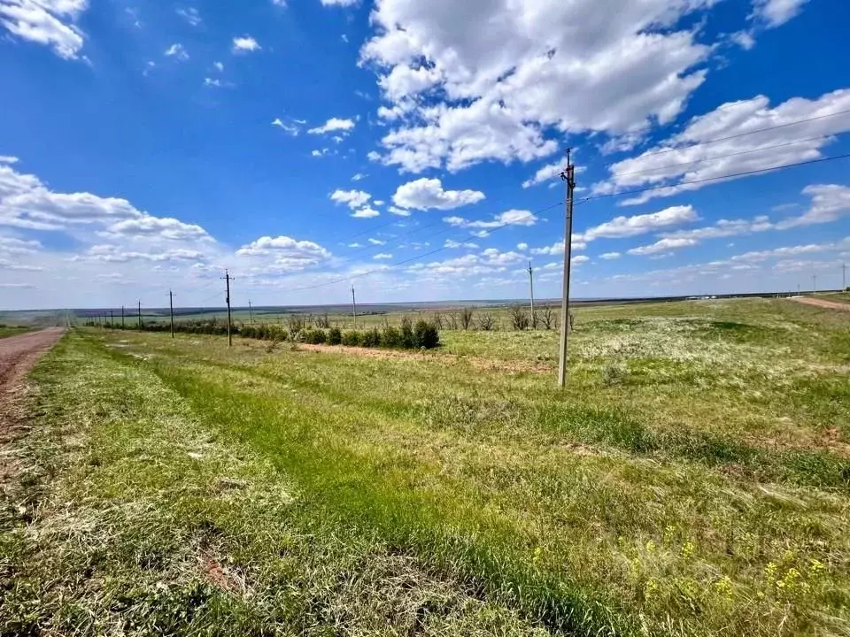 Участок в Оренбургская область, Сакмарский район, Светлый сельсовет, ... - Фото 0