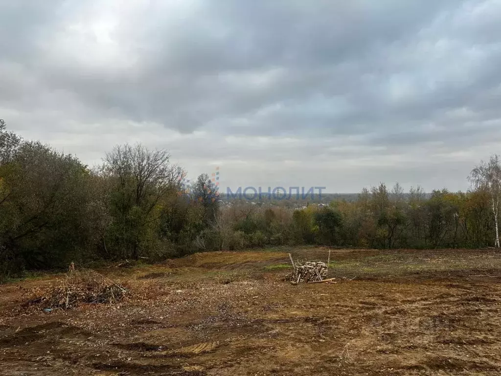 Участок в Нижегородская область, Нижний Новгород д. Афонино, ул. ... - Фото 1