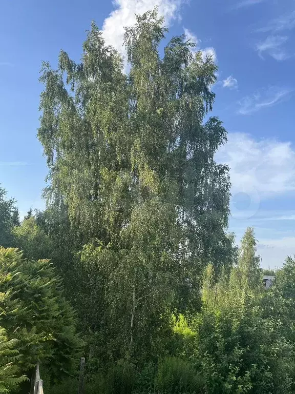 Участок 6 сот. (СНТ, ДНП) - Фото 1