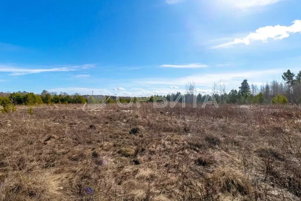 Участок в Тюменская область, Нижнетавдинский муниципальный округ, с. ... - Фото 2