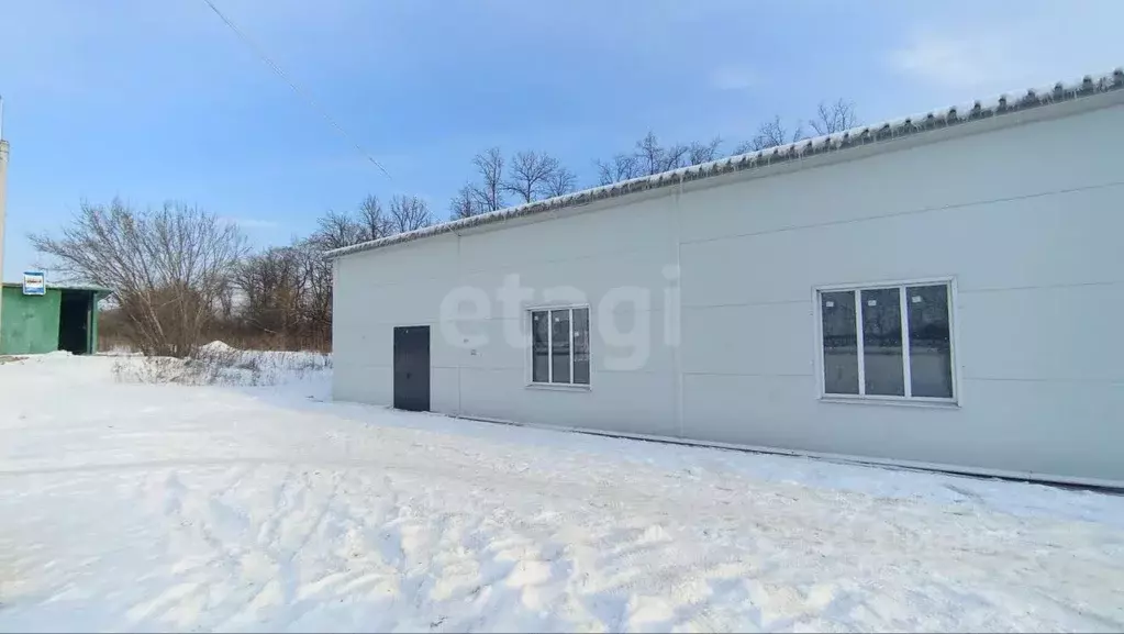 Торговая площадь в Воронежская область, Хохольский район, Петинское ... - Фото 1