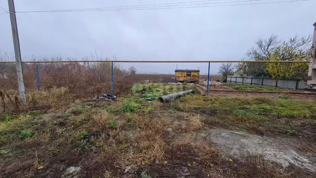 Участок в Белгородская область, Волоконовский район, Пятницкое рп ... - Фото 1