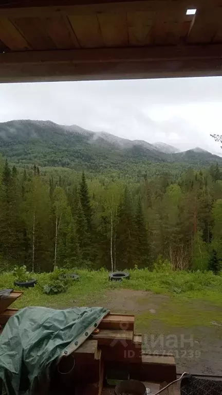 Участок в Алтай, Чойский район, Паспаульское с/пос  (1.3 сот.) - Фото 1