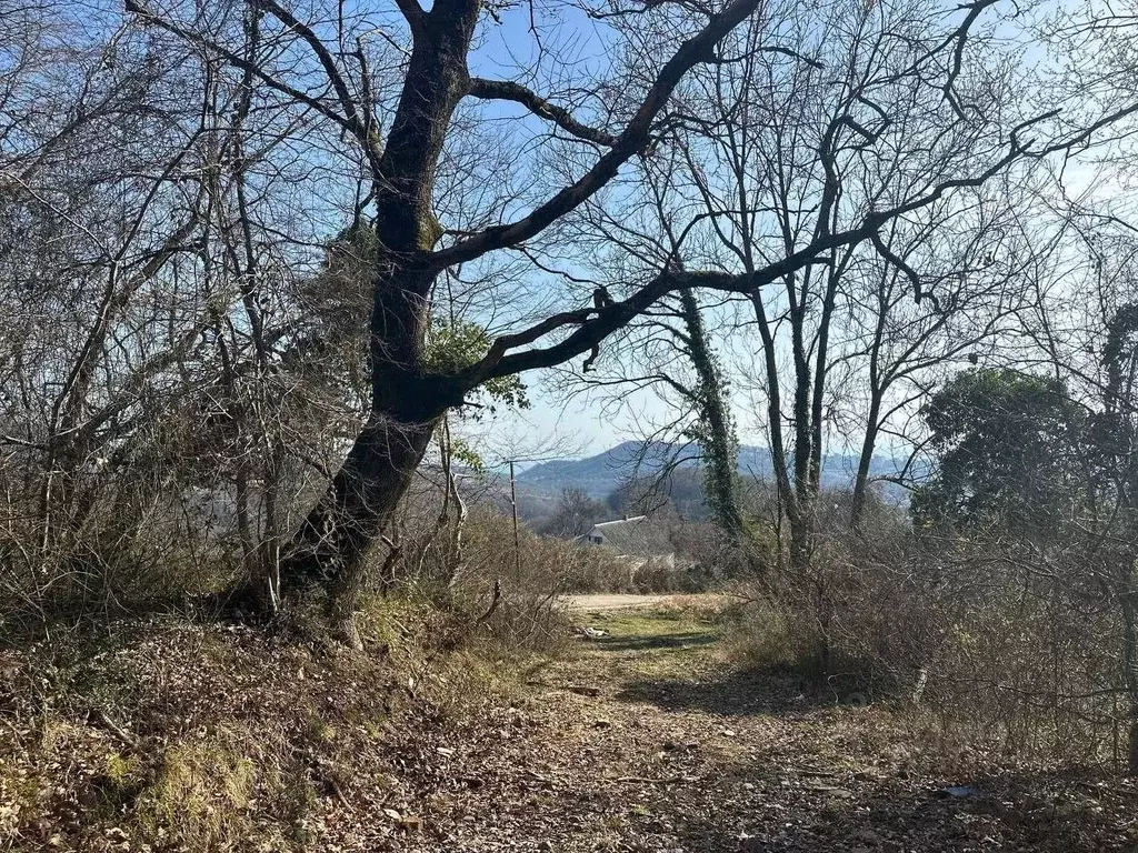 Участок в Краснодарский край, Сочи городской округ, с. Богушевка ул. ... - Фото 1