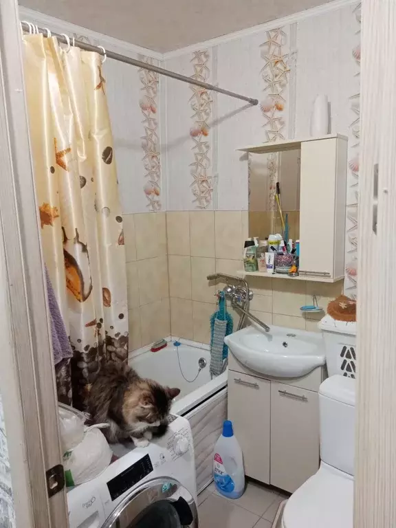 Продаётся 1-к квартира, 32.4 м - Фото 0