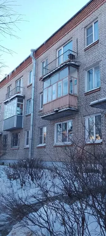 1-к кв. Санкт-Петербург, Санкт-Петербург, Пушкин Магазейная ул., 11 ... - Фото 1