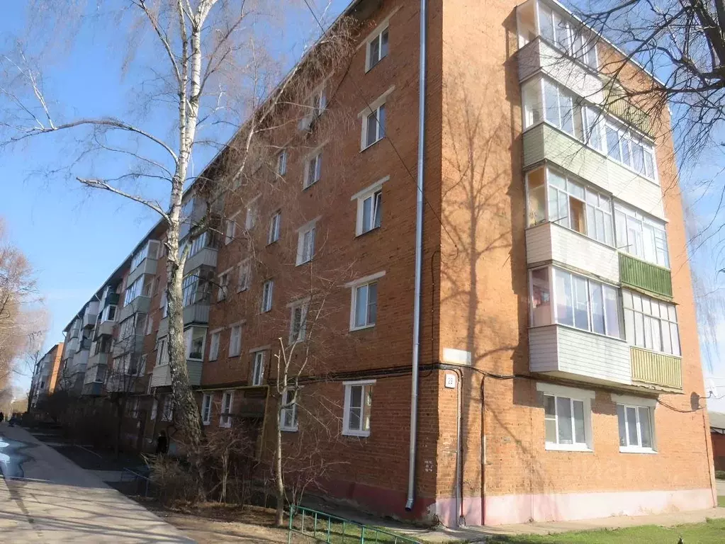 1-к кв. Московская область, Зарайск Зарайск муниципальный округ, 1-й ... - Фото 1