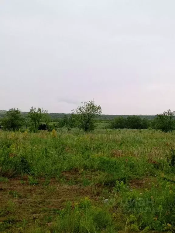 Участок в Саратовская область, с. Багаевка ул. Юбилейная (10.0 сот.) - Фото 0