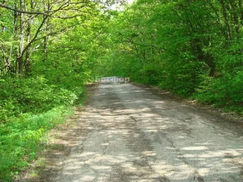 Участок в Крым, Феодосия городской округ, с. Краснокаменка ул. ... - Фото 1