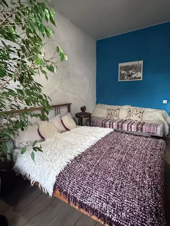 1-к кв. Санкт-Петербург ул. Глухая Зеленина, 6 (45.0 м) - Фото 2