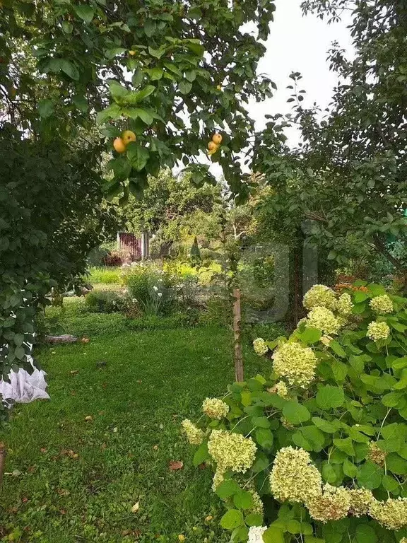 Участок в Ярославская область, Ярославль Ветеран Труда СНТ, 102 (4.6 ... - Фото 1