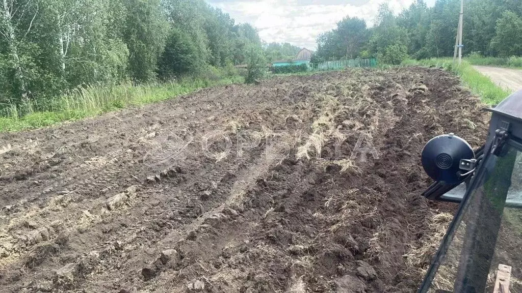 Участок в Тюменская область, Нижнетавдинский район, Строитель ТСН 786 ... - Фото 1