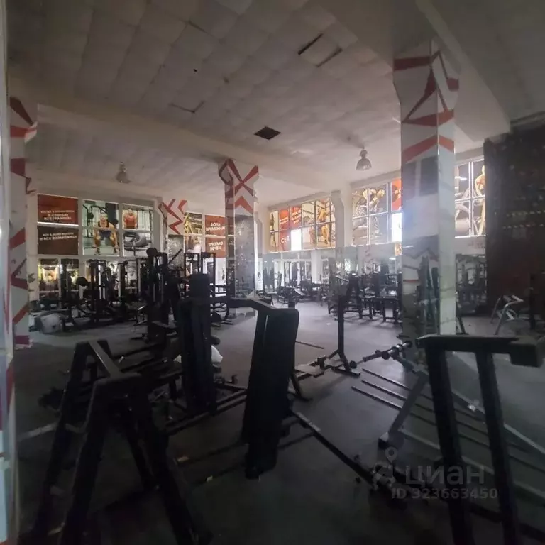 Помещение свободного назначения в Ростовская область, Ростов-на-Дону, ... - Фото 1