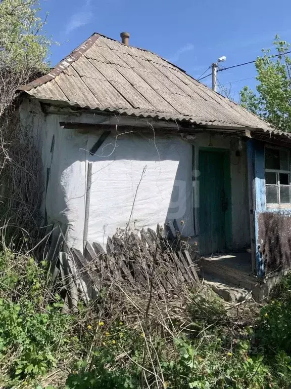 Дом в Белгородская область, Вейделевка рп ул. Свободы, 170 (28 м) - Фото 1