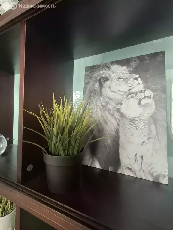 Помещение свободного назначения (23.5 м) - Фото 1