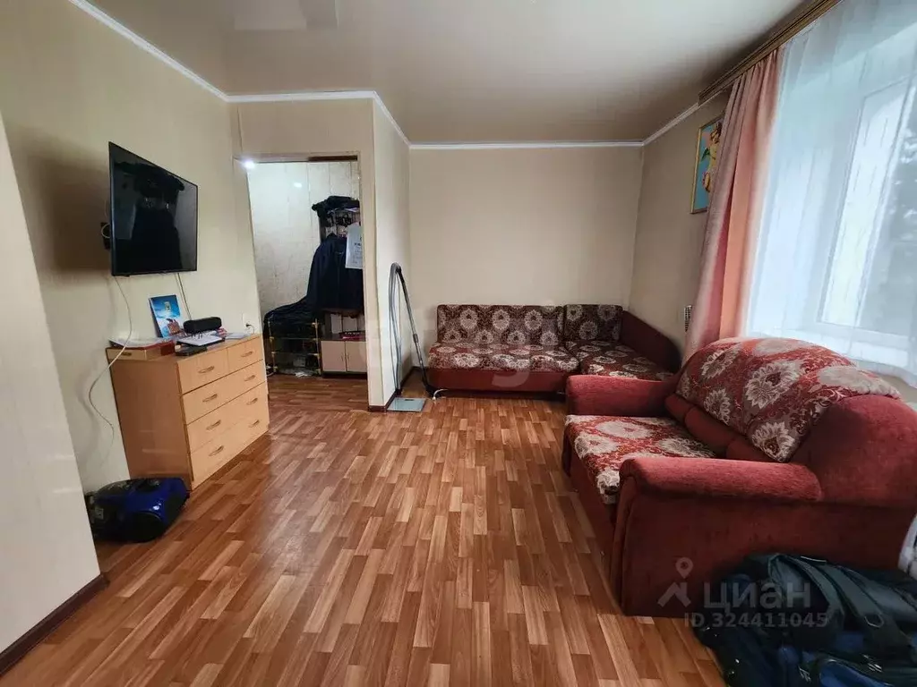 1-к кв. Камчатский край, Елизово ул. Ларина, 4 (28.6 м) - Фото 1