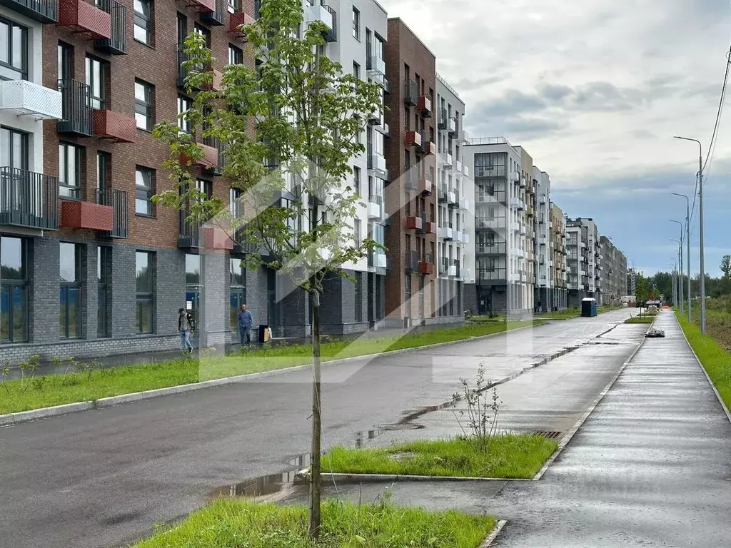 Торговая площадь в Московская область, Одинцовский городской округ, с. ... - Фото 1