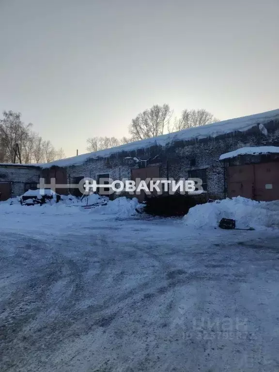 Помещение свободного назначения в Кемеровская область, Прокопьевск ул. ... - Фото 1