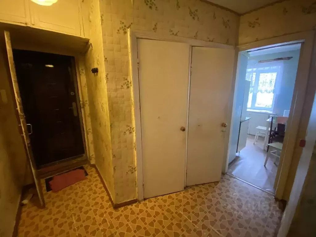 3-к кв. Липецкая область, Елец ул. Мира, 2 (60.0 м) - Фото 2