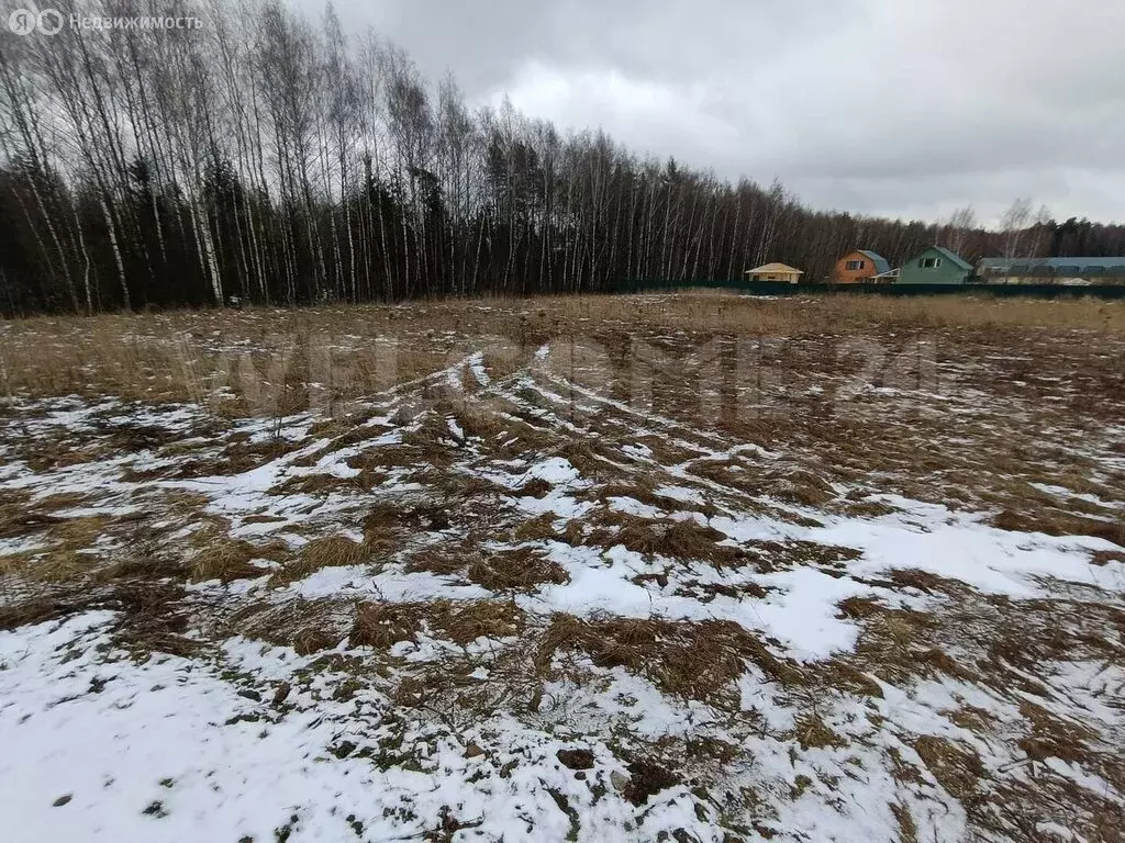 Участок в Богородский городской округ, коттеджный посёлок Новое ... - Фото 1