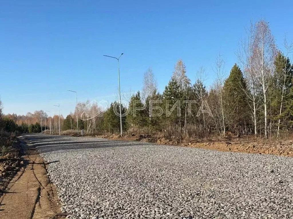 Участок в Тюменская область, Тюменский муниципальный округ, ... - Фото 1