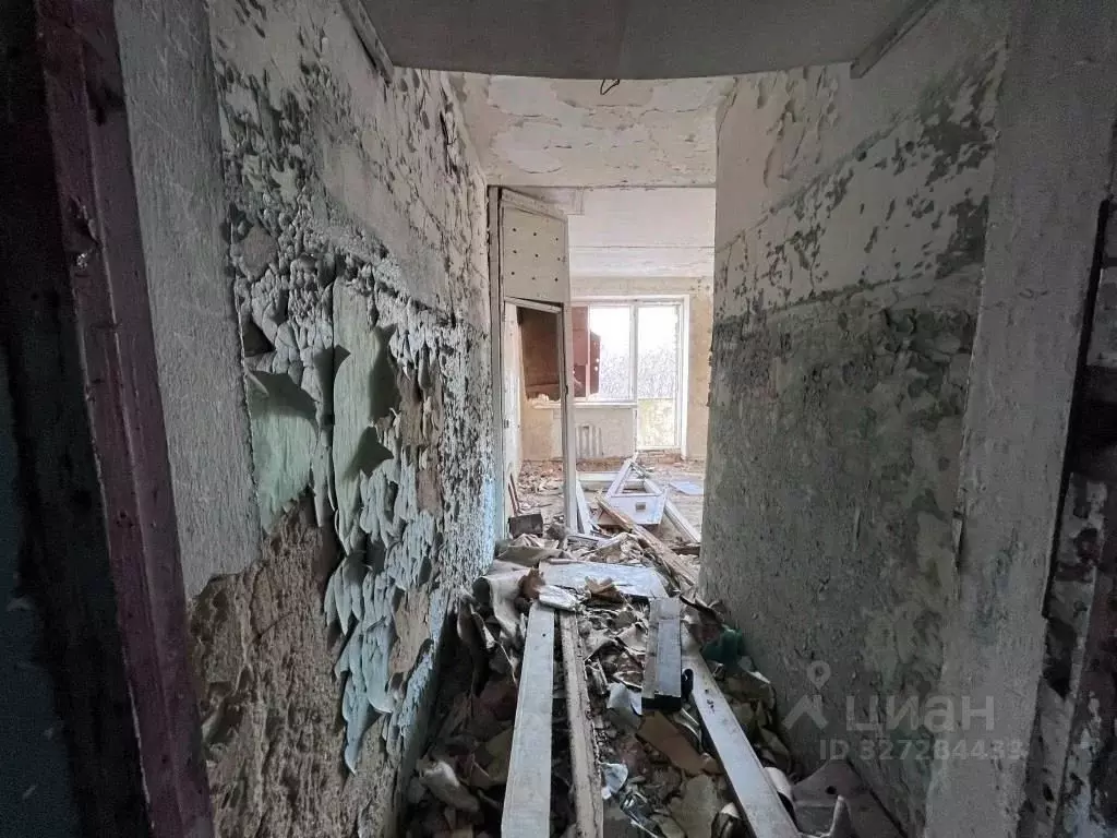 Помещение свободного назначения в Приморский край, Ольгинский ... - Фото 1