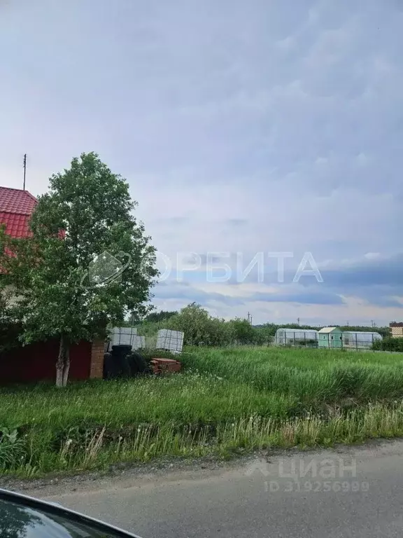 Участок в Тюменская область, Тюменский район, с. Перевалово ул. 8 ... - Фото 0