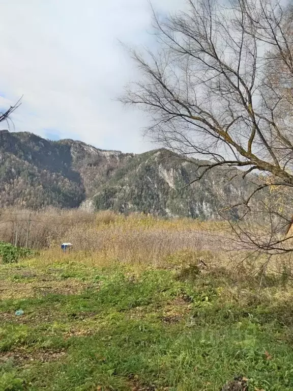 Участок в Алтай, Майминский район Р-256 Чуйский тракт, 488-й км (10.0 ... - Фото 1