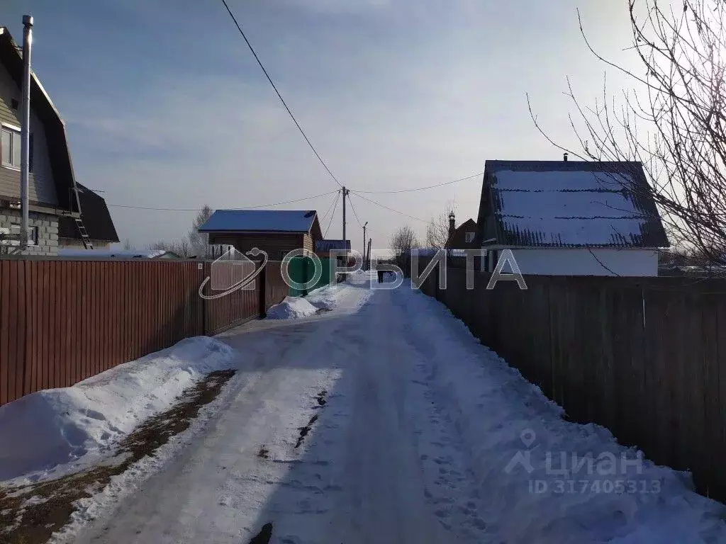 Участок в Тюменская область, Тюмень Садовое товарищество Липовый ... - Фото 0