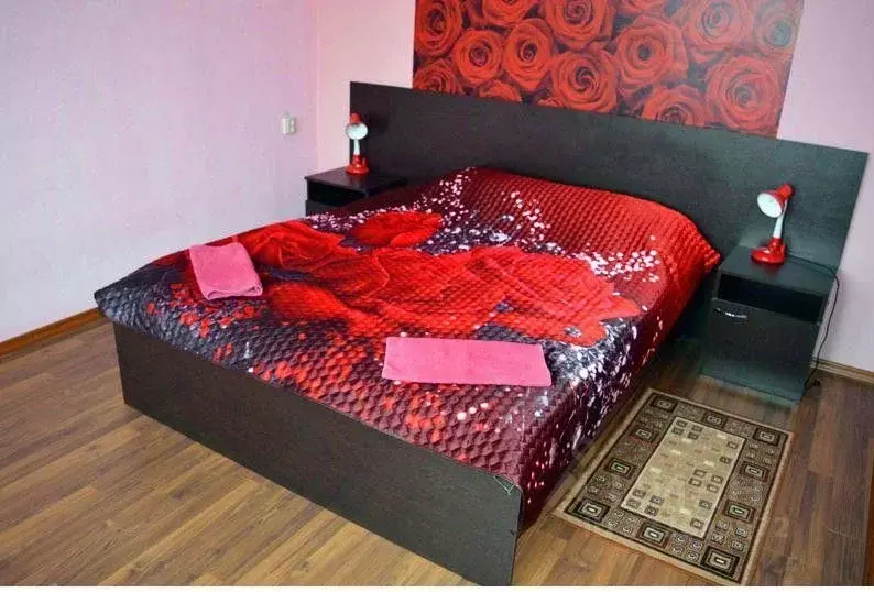 Комната Воронежская область, Анна пгт ул. Севастопольская, 11 (25.0 м) - Фото 1